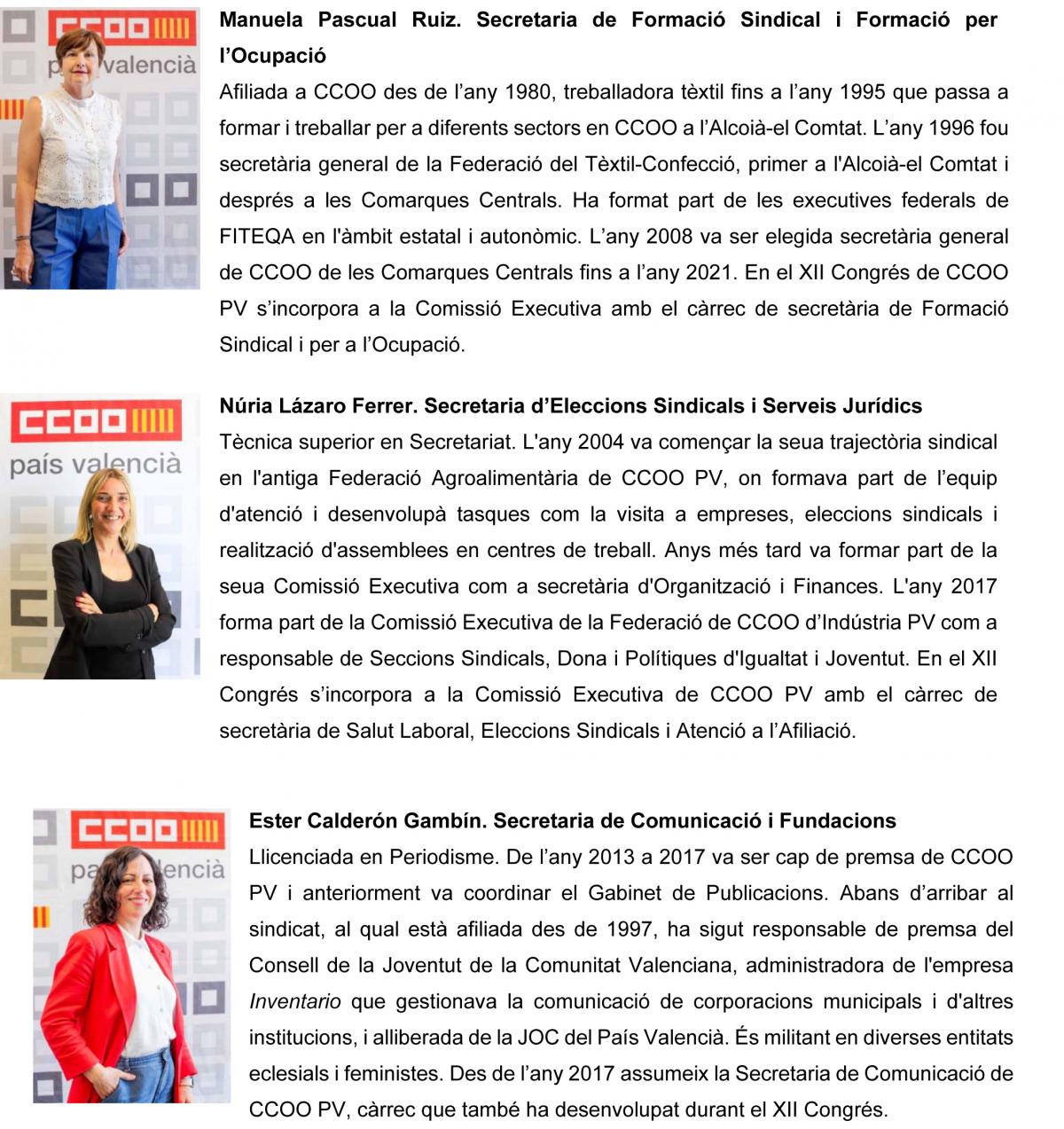 Comissi Executiva CCOO PV