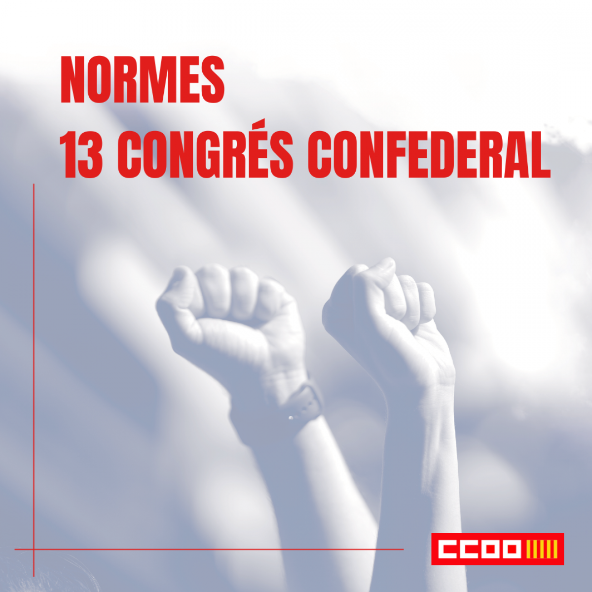 Normes XIII Congrs confederal CCOO PV
