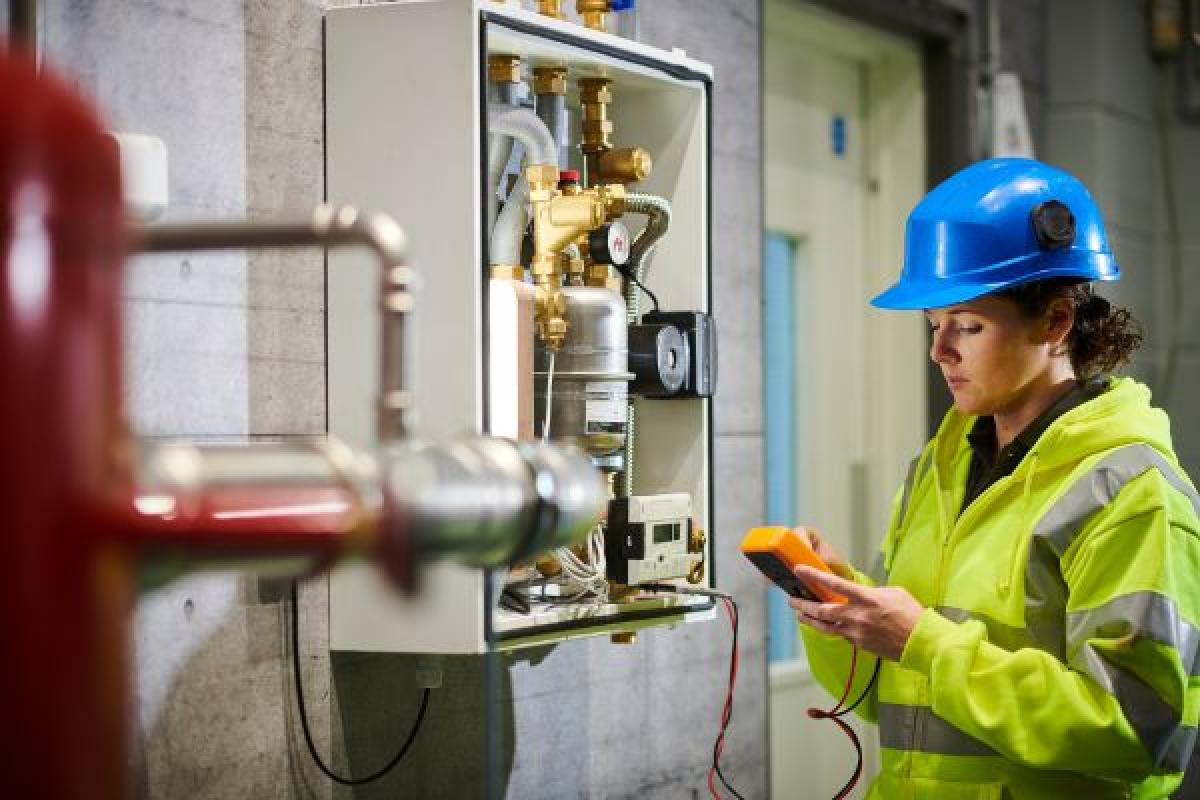 La afiliación a Seguridad Social creció en todos los regímenes respecto a 2024