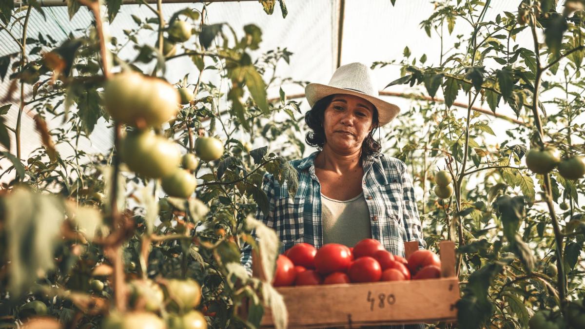 Una de cada tres muertes por cáncer de piel no melanoma está relacionada con la exposición solar laboral.