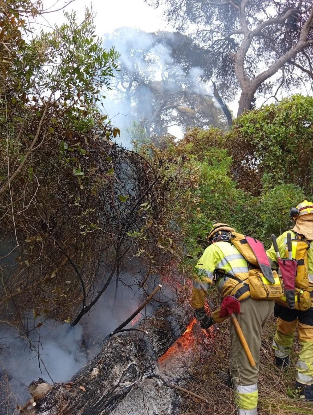 Incendi forestal de El Saler